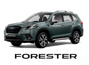 mini_featuresd_image_forester