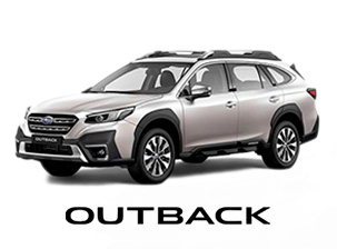 mini_featuresd_image_outback